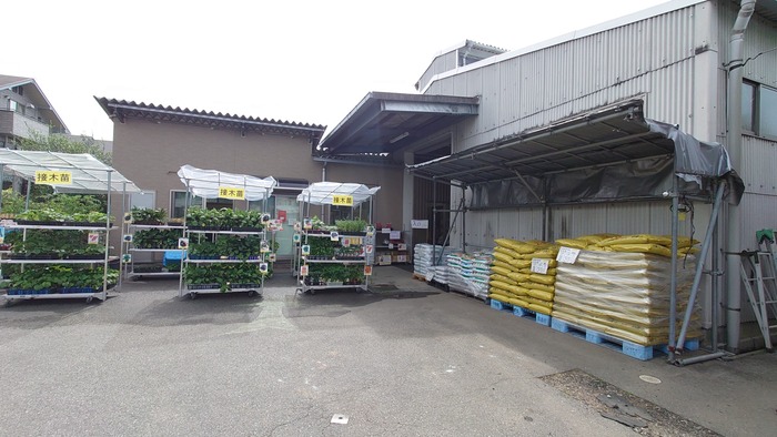 株式会社初鹿野商店